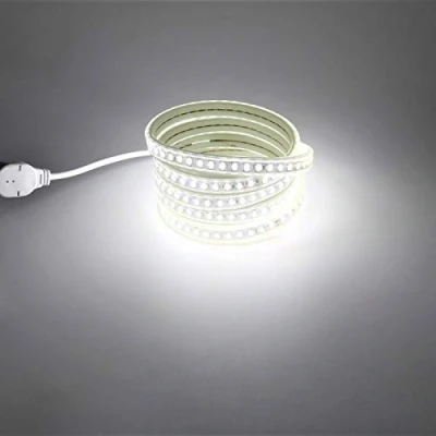 Afbeelding van 3 Meter LED Strip 220V Wisselstroom Buitenverlichting Waterdicht IP67 Koud Wit met EU Stekker, 3M 5730 Flexibel Strips Verlichting (Koud wit, 3)