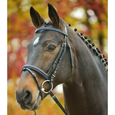 Afbeelding van Star Trenshoofdstel Diamond Engels Combi Bruin/Goud Full