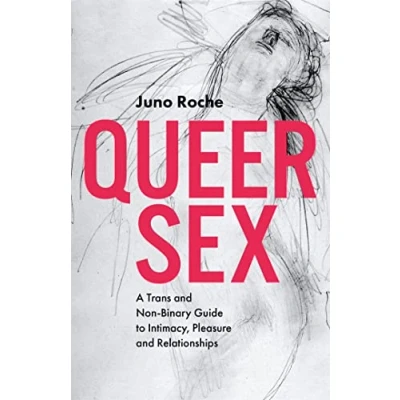 Afbeelding van Queer Sex: A Trans and Non Binary Guide to Intimacy, Pleasure Relationships