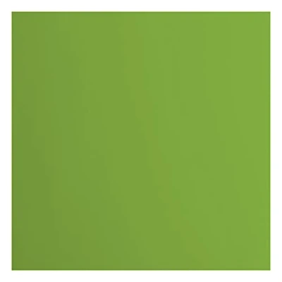 Afbeelding van Vaessen Creative Florence Cardstock Papier, groen, 216 g/m², vierkant, 30,5 x cm, 20 stuks, glad, voor scrapbooking, kaarten maken, stansen en ander knutselwerk