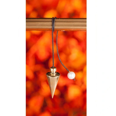 Afbeelding van Schroef pendel messing met ring