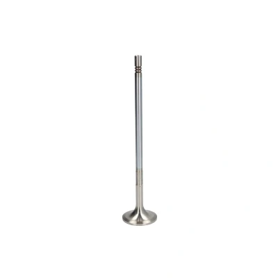 Afbeelding van TRW Engine Component Inlaatklep 48315