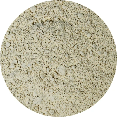 Afbeelding van Van Beekum Specerijen Knoflookpoeder 25 KG Doos (bulk verpakking)