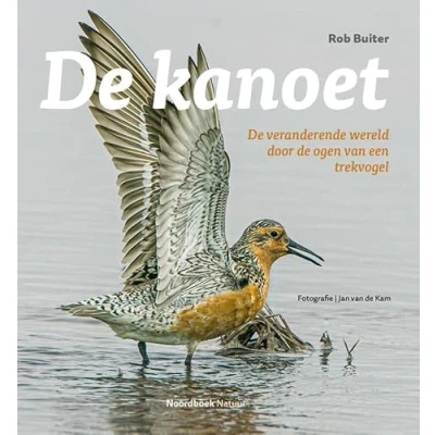 Afbeelding van De kanoet (Paperback)