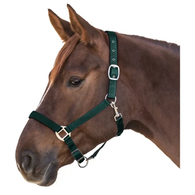 Afbeelding van Waldhausen Halster Satin Donkergroen Paardenhalster Pony
