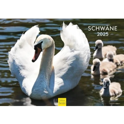 Afbeelding van Edition Seidel Premium kalender voor zwanen, 2025, formaat DIN A3, wandkalender, vogelkalender, kuikens, watervogels, wilde vogels
