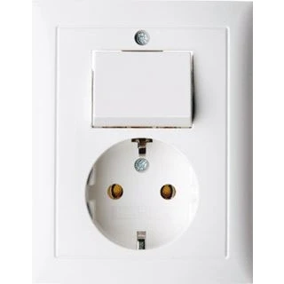 Afbeelding van Berker S1 Combinatie wisselschakelaar/wcd polarwit glans