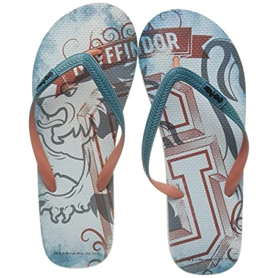 Afbeelding van Harry Potter Slippers Gryffindor Maat 41