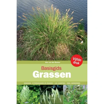 Afbeelding van Basisgids Grassen (Paperback)