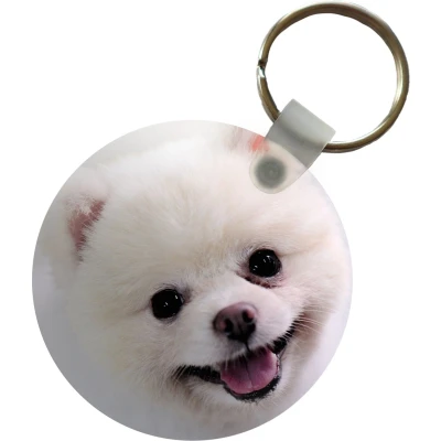 Afbeelding van Sleutelhanger Pomeriaan van dichtbij Plastic Rond Uitdeelcadeautjes