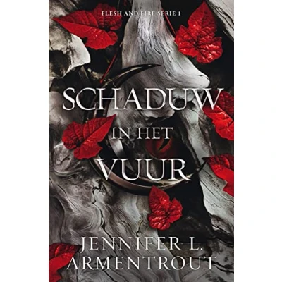 Afbeelding van Schaduw in het vuur (Paperback)
