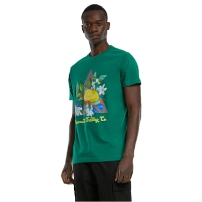 Afbeelding van Mister TEE Lemonade Tshirt print, Heren, Maat: Medium, Forest green