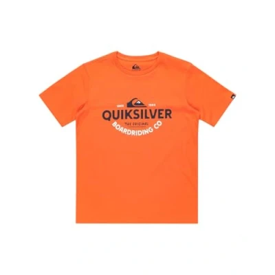 Afbeelding van Quiksilver Typed OUT Unisex Tshirt print, Maat: 176, Tigerlily