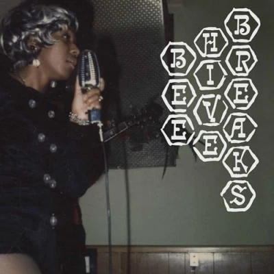 Afbeelding van V/A Beehive Breaks (LP)