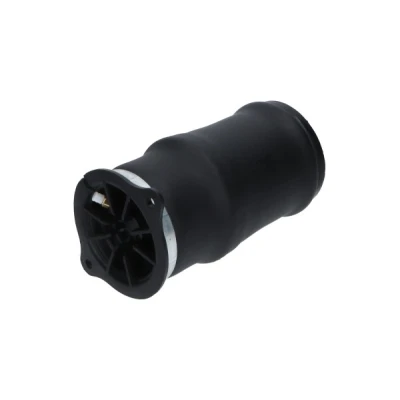 Afbeelding van Kavo Parts Veer SAS 10053