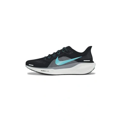 Afbeelding van Nike Pegasus 41