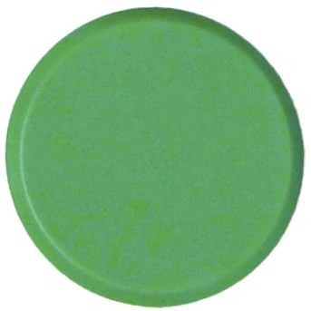 Afbeelding van Bouhon magneten, 20 mm, groen, pak van 10 stuks