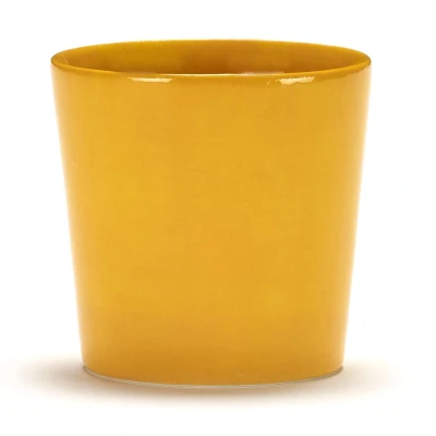 Afbeelding van Serax Feast By Ottolenghi Mok 25cl Sunny Yellow