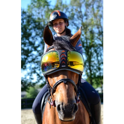 Afbeelding van eQuick eVysor