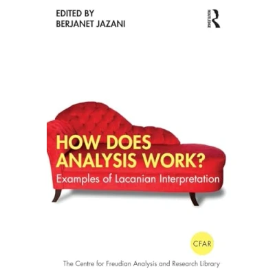 Afbeelding van How Does Analysis Work?: Examples of Lacanian Interpretation