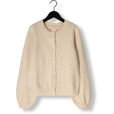 Afbeelding van Ai&amp;Ko Jady Pes 442 G Truien &amp; Vesten Meisjes Sweater Hoodie Vest Beige Maat 152