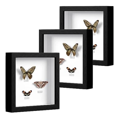 Afbeelding van EUGAD Set van 3 3D fotolijsten om te vullen, objectlijst 20 x cm, diepe lijst voor objecten tot MDF houten lijst, collage met papieren passe partout, zwart