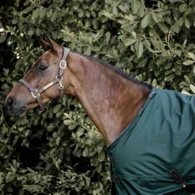 Afbeelding van Kentucky Turnout All Weather 160g Donker Groen 70/100