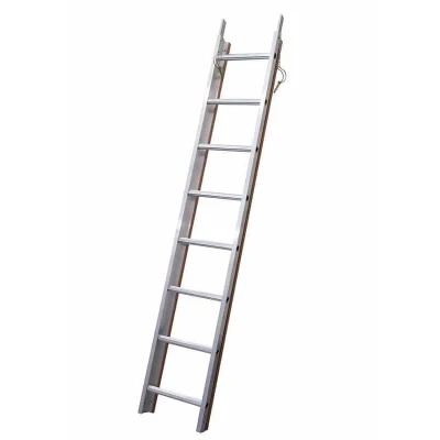 Afbeelding van Solide dakladder 2.00m lang 8 sporten