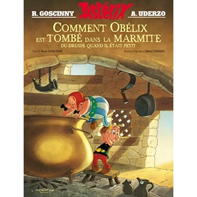 Afbeelding van Astérix Album illustré Comment Obélix est tombé dans la marmite quand il était petit HC