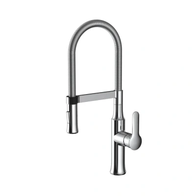 Afbeelding van Keukenmengkraan Sapho Jessy 1 hendel 50.5 cm met Uittrekbare Spray Chroom