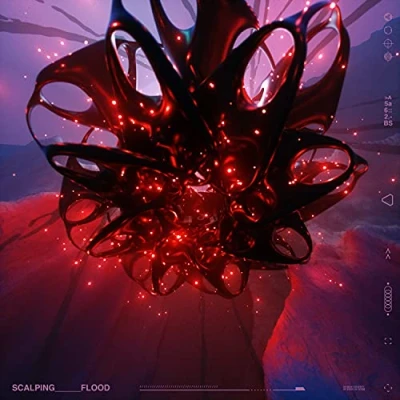 Afbeelding van Scalping Flood (LP)