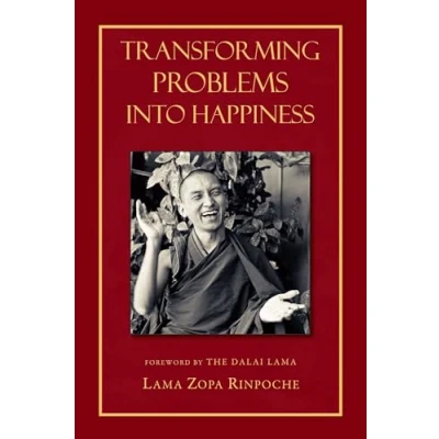Afbeelding van Transforming Problems into Happiness