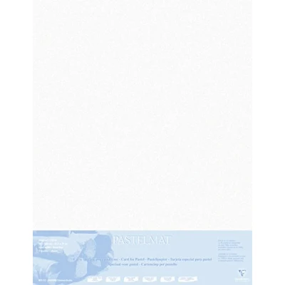 Afbeelding van Clairefontaine 396010C tekenvellen (verpakking met 5 vellen pastel mat op karton gelamineerd, 1800 µm, 70 x 100 cm, ideaal voor droogtechnieken en pastel) wit