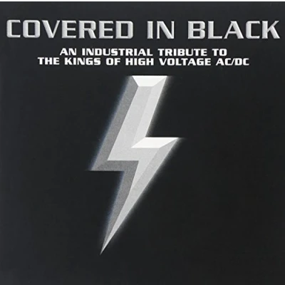 Afbeelding van Various Artists Covered In Black (CD)