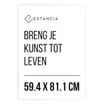 Afbeelding van Witte Houten Fotolijst 59,4x81,1 cm (A1) met Onbreekbaar Plexiglas Frame Groot A1