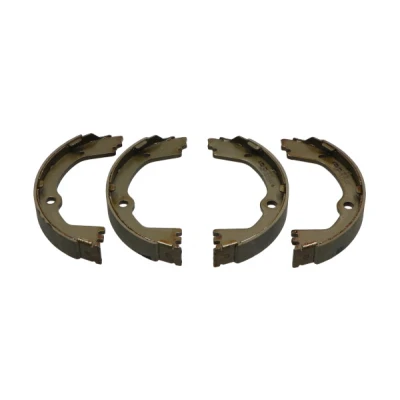 Afbeelding van Kavo Parts Remschoen set KBS 3422