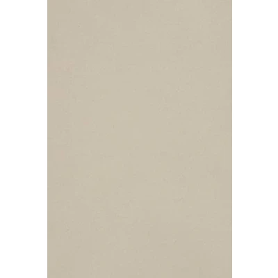 Afbeelding van Netuno 10 karton A3 297x420mm lichtgrijs 250g Burano Grigio voor kaarten scrapbooking knutselen decoreren uitnodigingen handwerk
