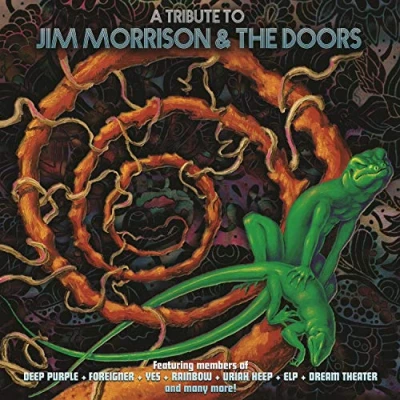 Afbeelding van Jim &amp; the Doors Morrison A Tribute To (LP)