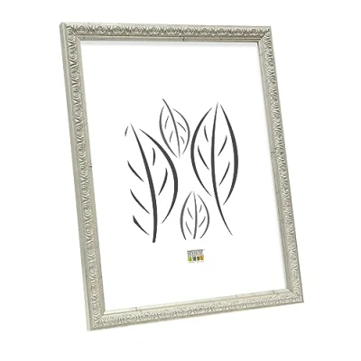 Afbeelding van Deknudt Frames fotolijst S95LD1 zilverkleur retrokader 13x18 cm