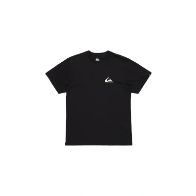 Afbeelding van Quiksilver EV MINI LOGO Tshirt basic, Heren, Maat: XS, Kvj