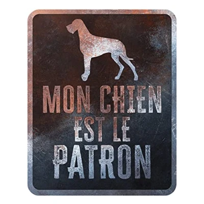 Afbeelding van D&amp;d Home Waakbord Hond Waarschuwingsbord Danish Dog Frans 25x20x0,3cm Meerkleurig 1st