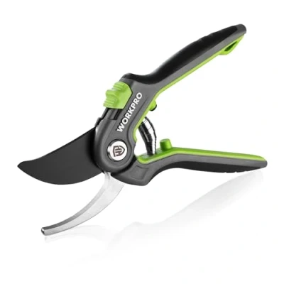 Afbeelding van WORKPRO Bypass snoeischaar 210mm, Professionele Boomschaar Plantenschaar Tuinschaar met SK5 mes voor Verse Takken Tuinieren, Ideaal Tuingereedschap Enten, Snoeien, Oogsten