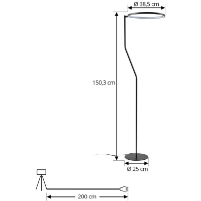 Afbeelding van Lindby LED vloerlamp Rayon, zwart, metaal, hoogte 150,3 cm