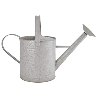 Afbeelding van Oud zink gieter 8,7 liter Esschert Design