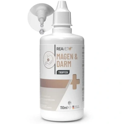 Afbeelding van ReaVET maag &amp; Darm druppels voor Honden Katten Ondersteuning het maagdarm stelsel Formule de darmen van huisdieren 110ml