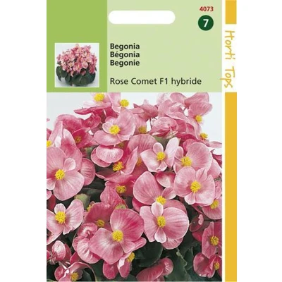 Afbeelding van Begonia F1 Roze Komeet