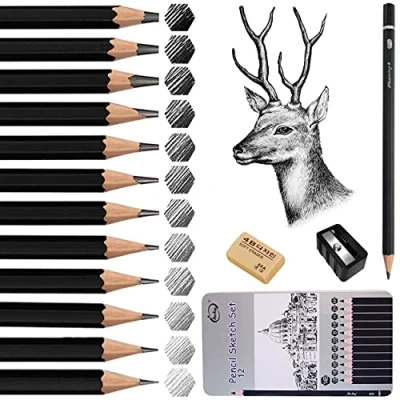 Afbeelding van Surcotto Schets Potlood Set, 12 Stks Professionele Tekening Kunstenaar Potloden Set Tekenen 14B 12B 10B 8B 6B 4B 2B HB H 2H 4H voor Kinderen en Volwassenen