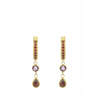 Afbeelding van amor Oorbellen, Dames, Maat: One Size, Rot