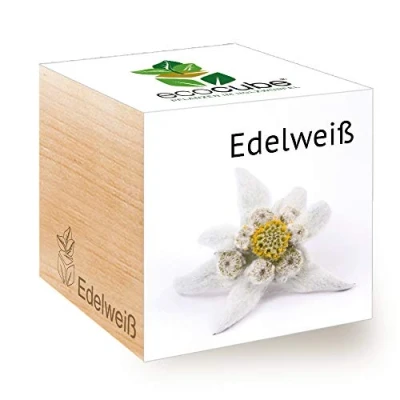 Afbeelding van Feel Green 296527 Ecocube Edelweiss Duurzaam cadeau idee (100% milieuvriendelijk), kweekset, planten in houten kubus, gemaakt Oostenrijk