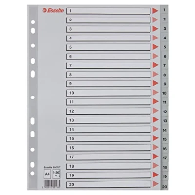 Afbeelding van Esselte, Map accessoires, Plastic register nummers